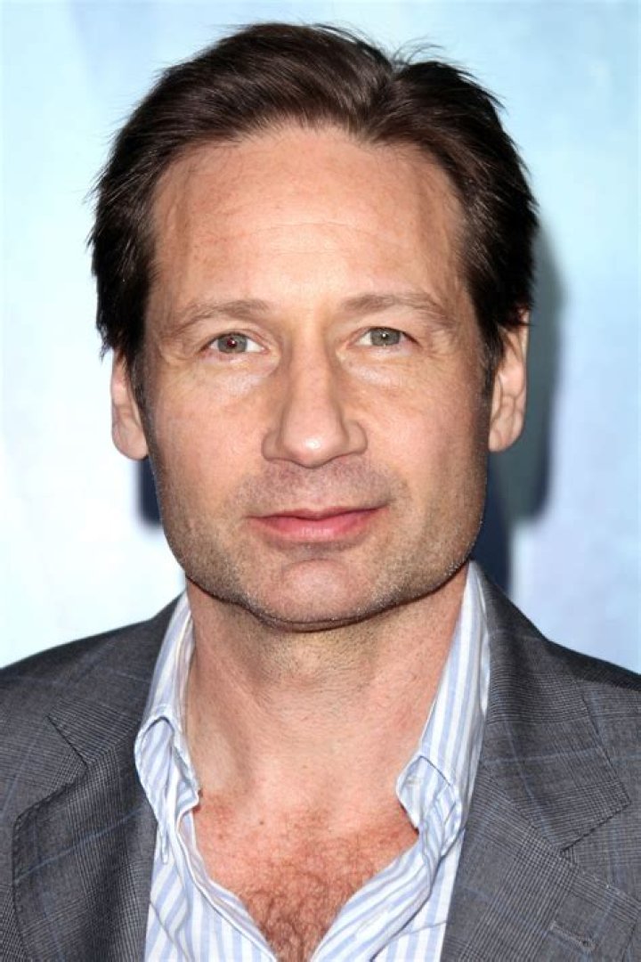 David Duchovny Yep, All These Stars Went to Ivy League Schools POPSUGAR Celebrity UK