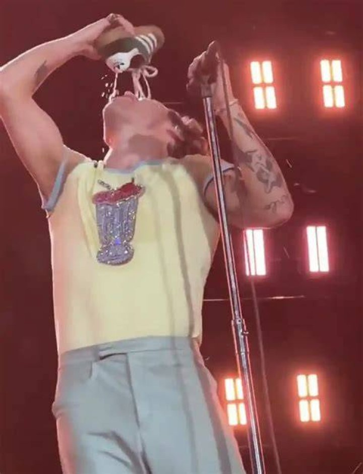 Harry Styles drinks alcohol out of his shoe during concert as part of Australian tradition (video)