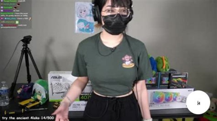 rainhoe vtuber face reveal