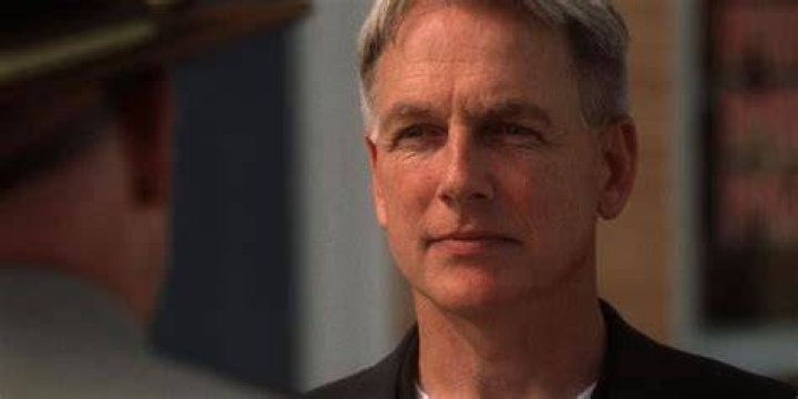 Retired NCIS star Mark Harmon walks his dogs as seen for the first time since leaving the show